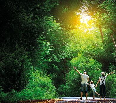 Lodha Woods, Kandivali – Residential Property in Kandivali with Green Open Spaces