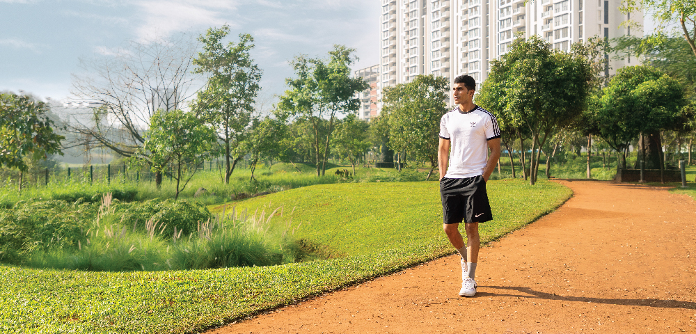Explore how Palava combats urban heat by sustainable practices Explore how Palava combats urban heat by sustainable measures