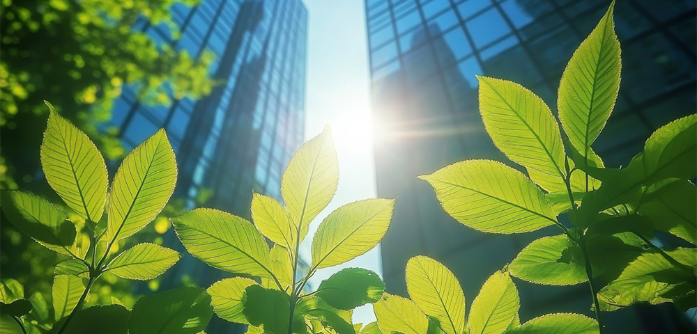 Raising Roofs Without Raising Carbon Footprints: Lodha Lodha Leading Sustainable Real Estate In India