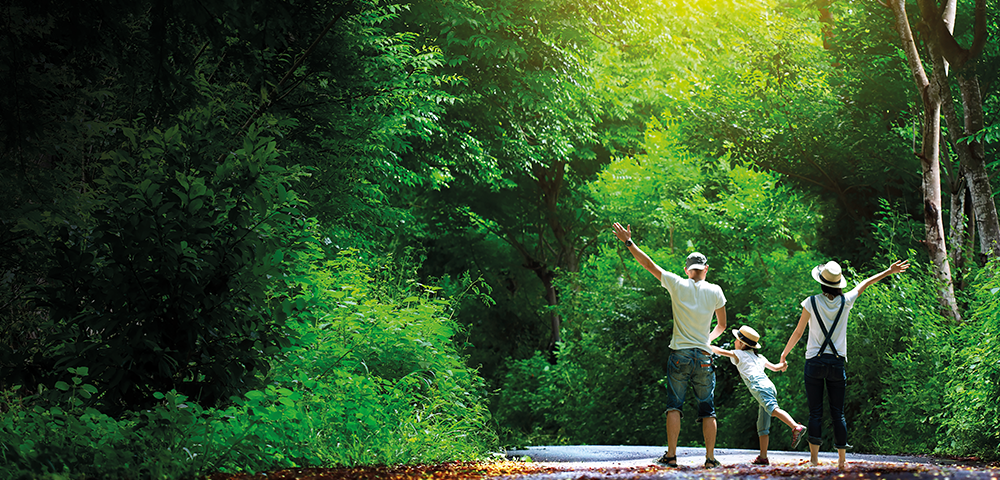 Lodha Woods, Kandivali – Residential Property in Kandivali with Green Open Spaces