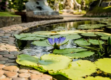 Resilience through water, biodiversity and climate-conscious design

