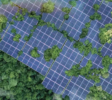 Lodha Industrial Park -  Sustainable Ecosystem